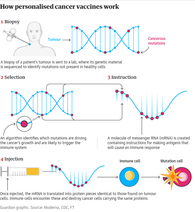 cancer mrna