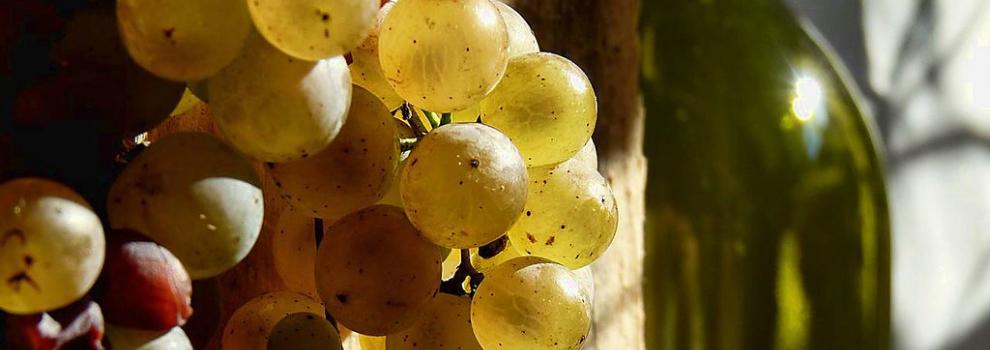 Movimento Turismo del Vino Sardegna