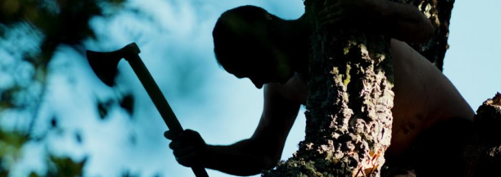 Immàgine de su curtzu