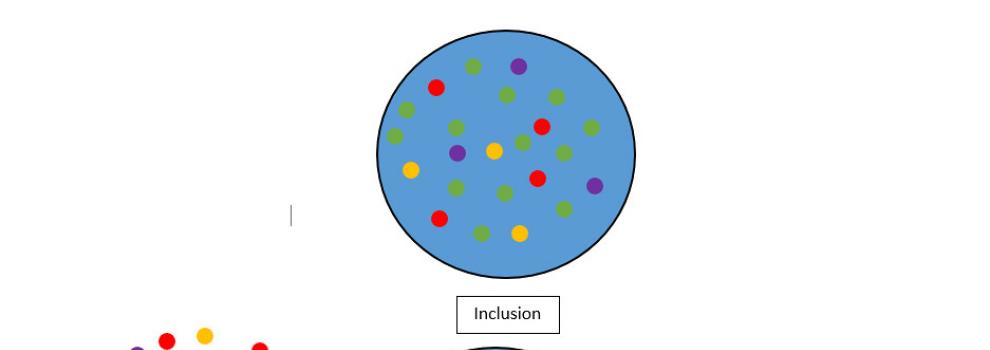 inclusione