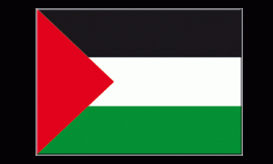 La-bandiera-della-Palestina-300x180.gif