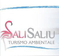 Sali-Saliu.jpg