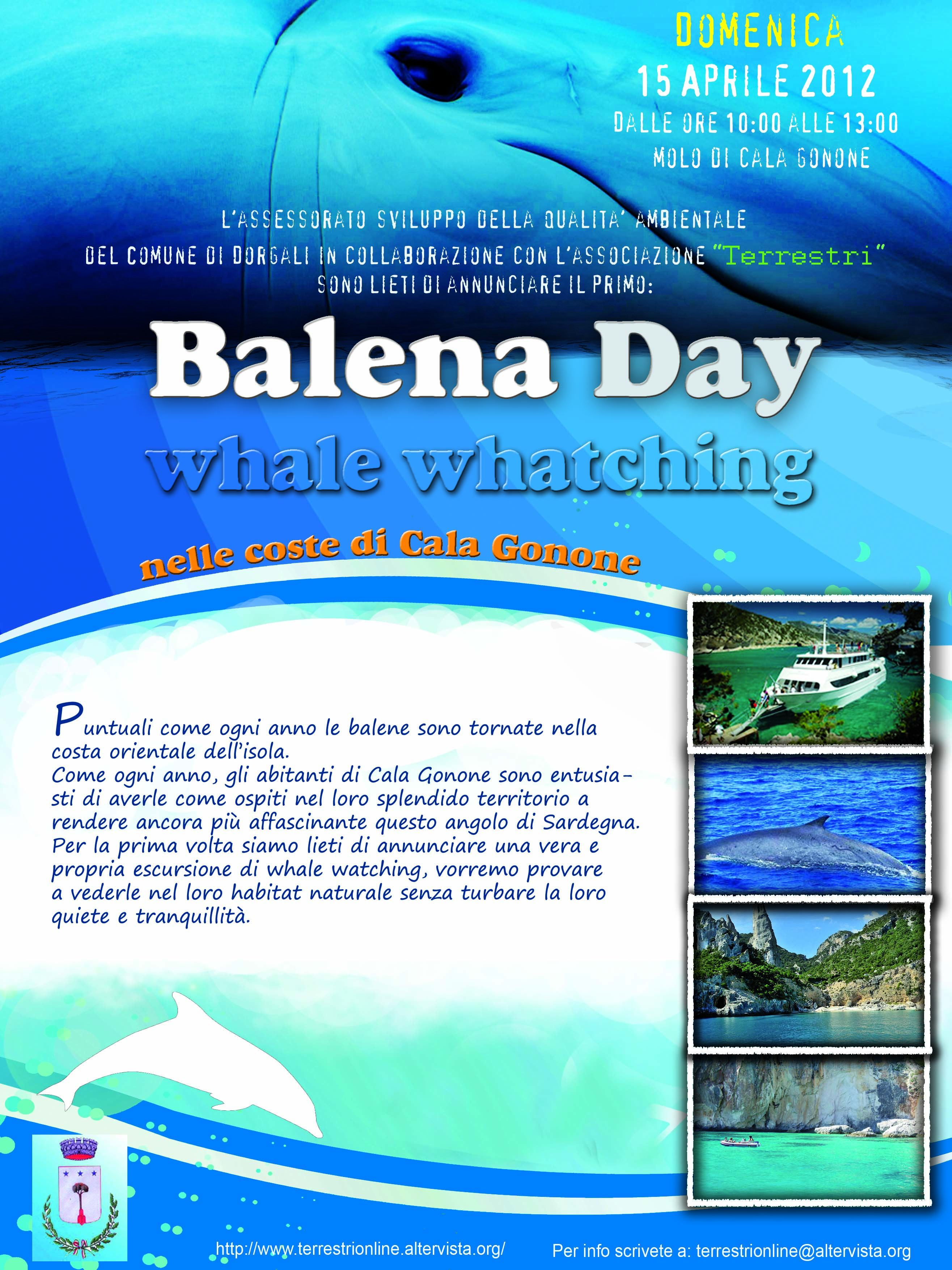 balena-day.jpg
