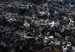 discarica2-300x208.jpg