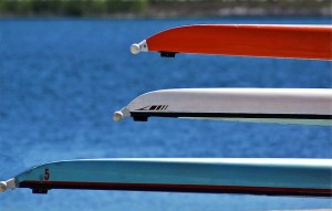 canottaggio-300x191.jpg